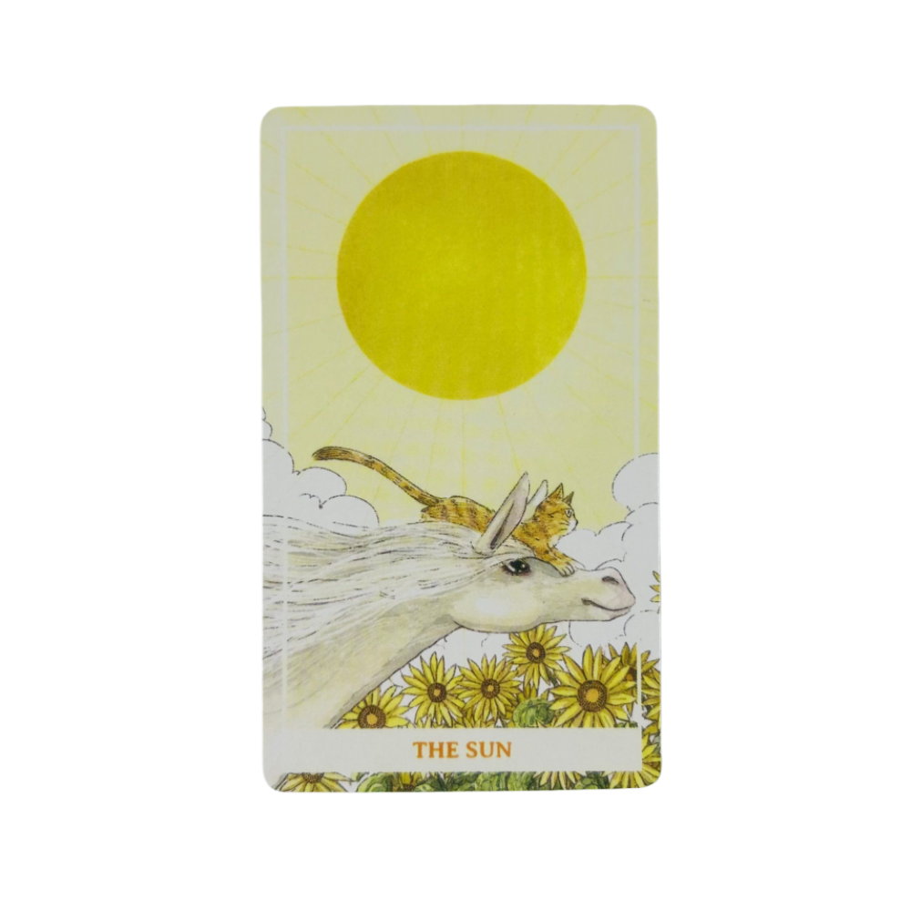 Cartes de tarot Sunny Orange C - Party Games Best avis et prix